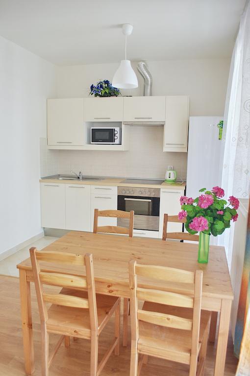 Bright Spacious Appartamento Praga